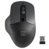 Mysz bezprzewodowa Natec Blackbird 2
