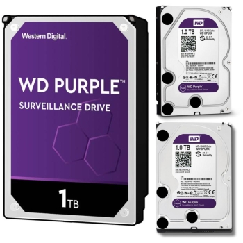 DYSK WD PURPLE 1TB WD10PURZ