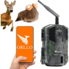 Fotopułapka GSM ORLLO Huntercam 3