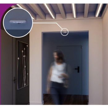 SATEL CZUJKA KURTYNOWA CD-2 (BIAŁA)