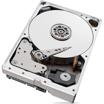 DYSK SEAGATE IronWolf ST10000VN000 10TB