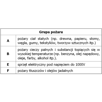 SPRAY GAŚNICZY SAFE 500 (GAŚNICA)