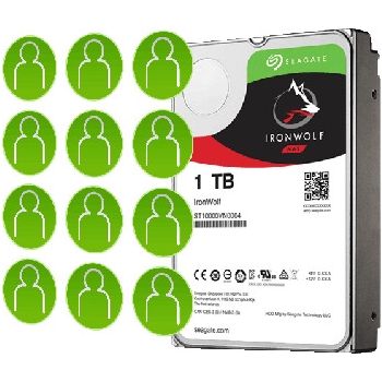 DYSK SEAGATE IronWolf ST1000VN002 1TB