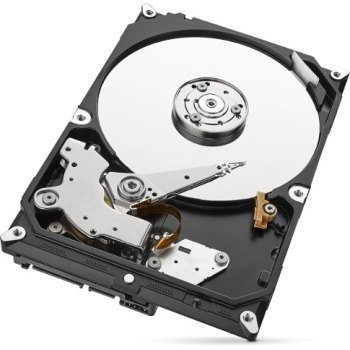 Dysk HDD Seagate SkyHawk ST1000VX005 1TB